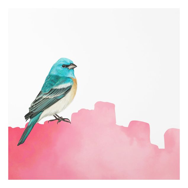 Splashback - Bird On Pink Backdrop - Square 1:1
