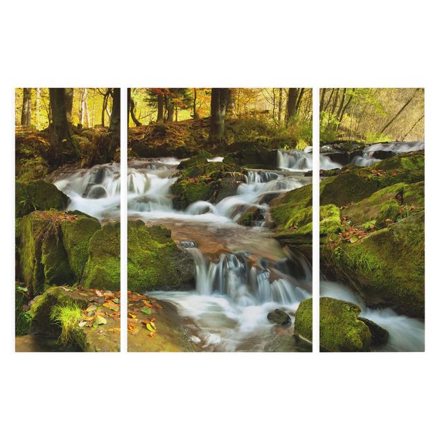 Modern art prints Waterfall Autumnal Forest