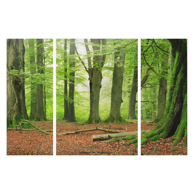Prints floral Mighty Beech Trees