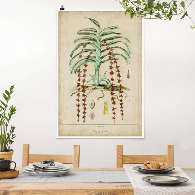 Kitchen Vintage Board Exotic Palms IV