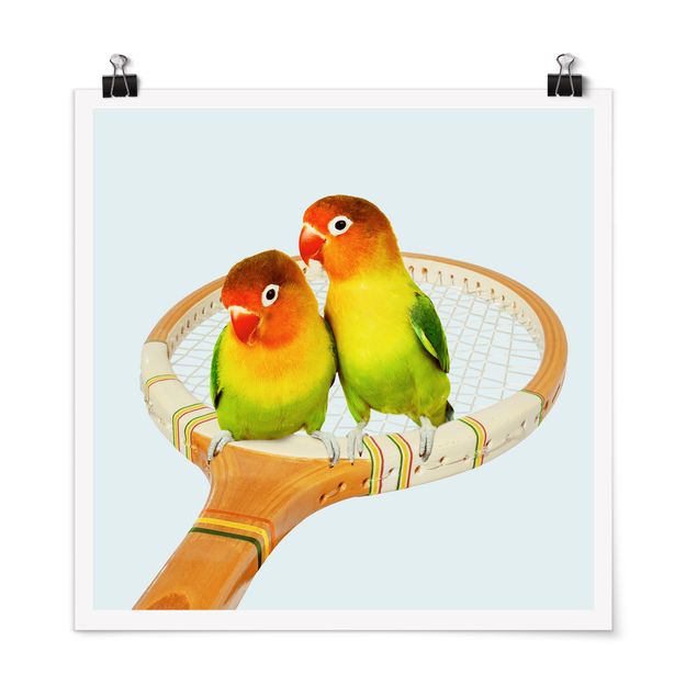 Posters art print Tennis With Birds