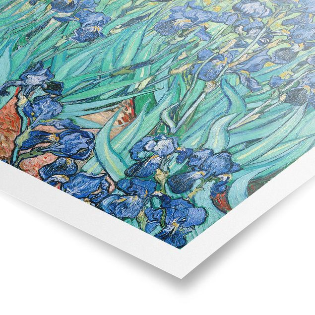 Art style Vincent Van Gogh - Iris