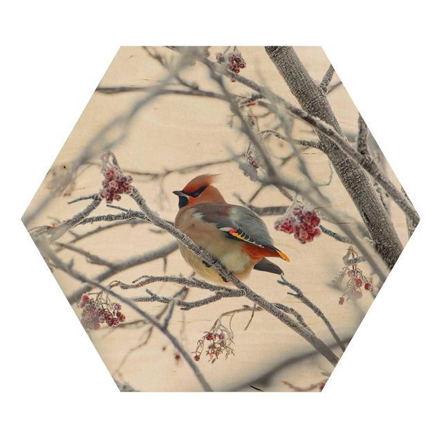 Wooden hexagon - Waxwing on a Tree