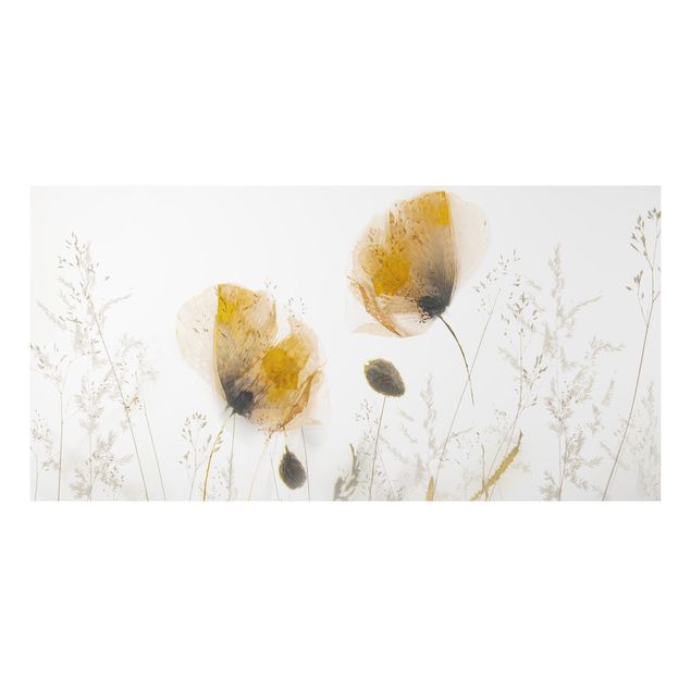 Poppy print Poppy Flowers And Delicate Grasses In Soft Fog