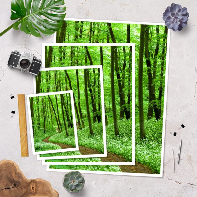 Prints Romantic Forest Track