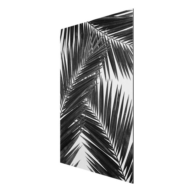 Art posters View Through Palm Leaves Black And White