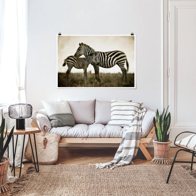Prints zebra Zebra Couple