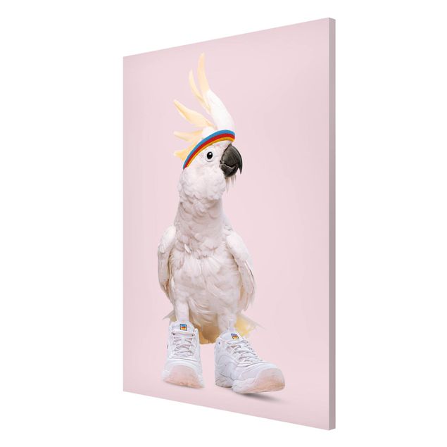 Magnet boards animals Kakadu With Shoes