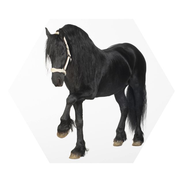 Forex prints Friesian Mare