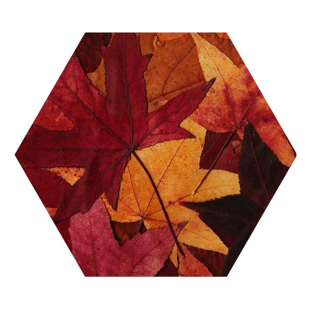 Wood photo prints Coloured Leaves
