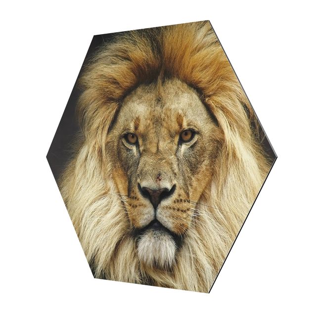 Prints Wisdom Of Lion
