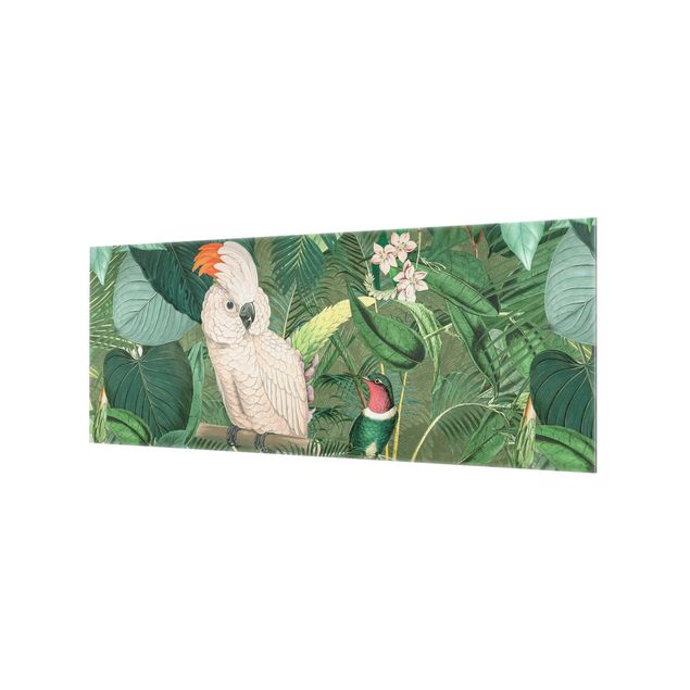 Andrea Haase Vintage Collage - Cockatoo And Hummingbird