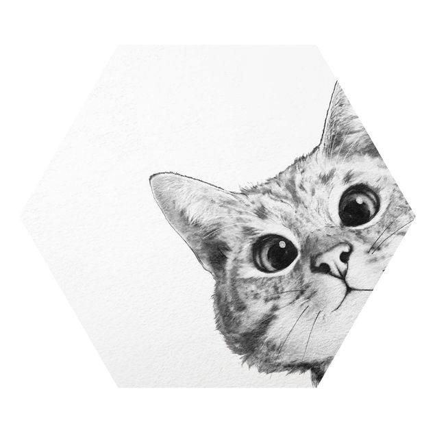 Animal canvas Illustration Cat Drawing Black And White