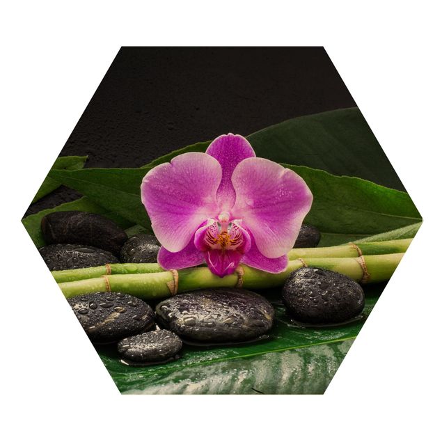 Canvas art Green Bamboo With Orchid Blossom