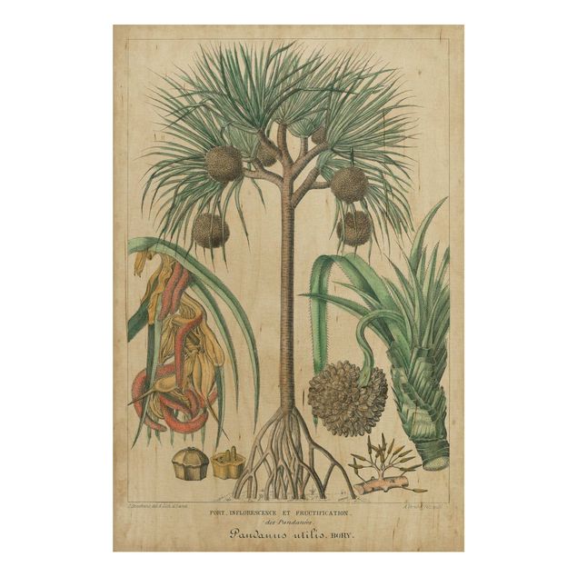 Wood prints flower Vintage Board Exotic Palms I