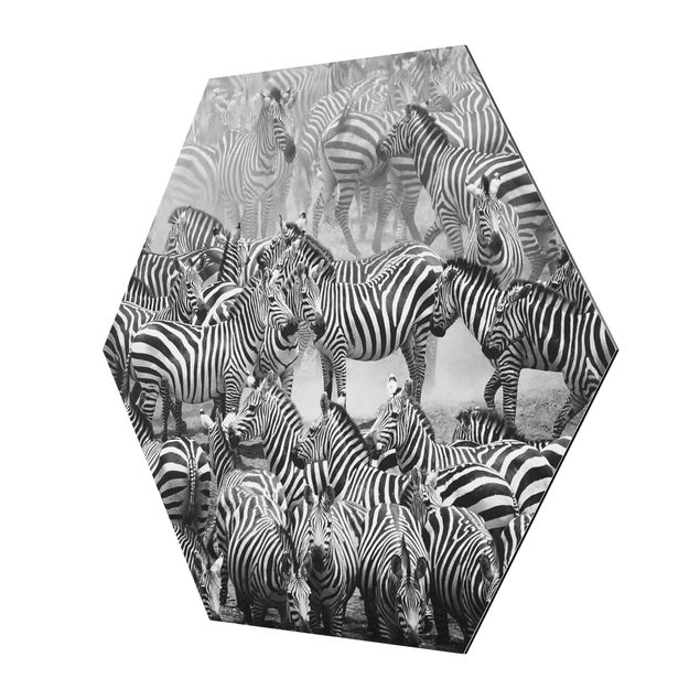 Black and white wall art Zebra herd II