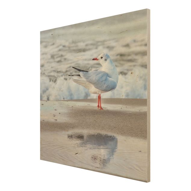 Wood prints beach Seagull On The Beach In Front Of The Sea