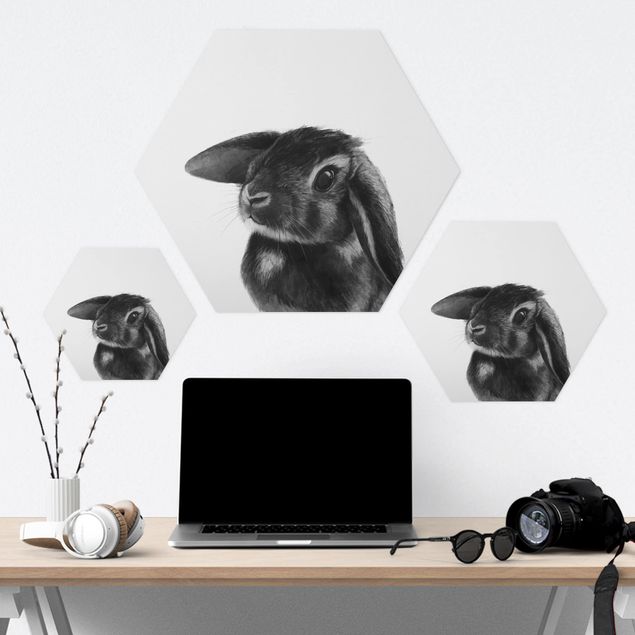 Forex hexagon - Illustration Rabbit Black And White Drawing