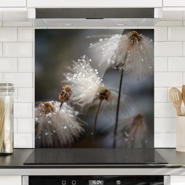 Kitchen Dandelions With Snowflakes