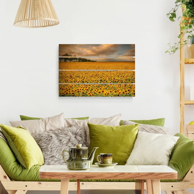 Wood prints flower Field With Sunflowers
