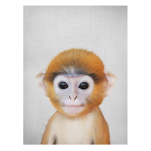 Prints animals Baby Monkey Anton