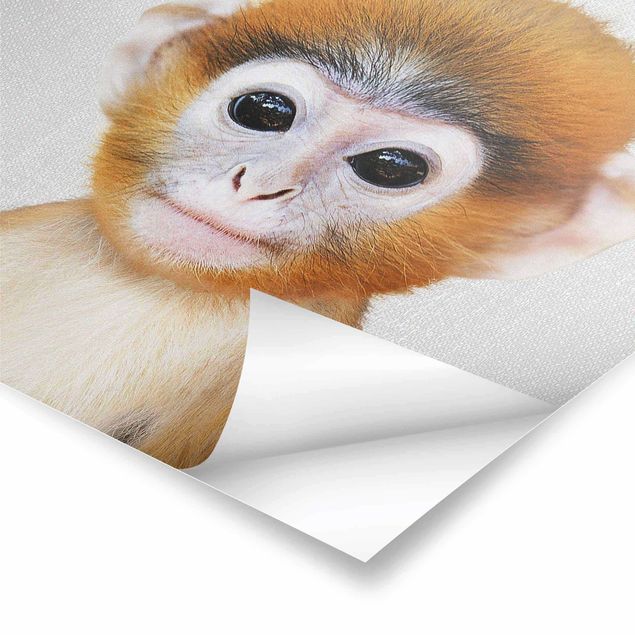 Gal Design prints Baby Monkey Anton