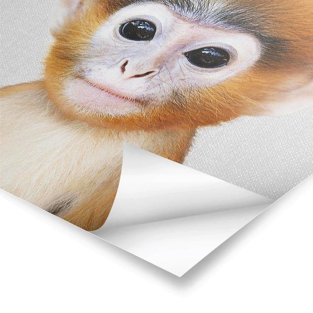 Gal Design prints Baby Monkey Anton