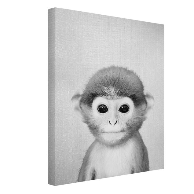 Black and white canvas art Baby Monkey Anton Black And White