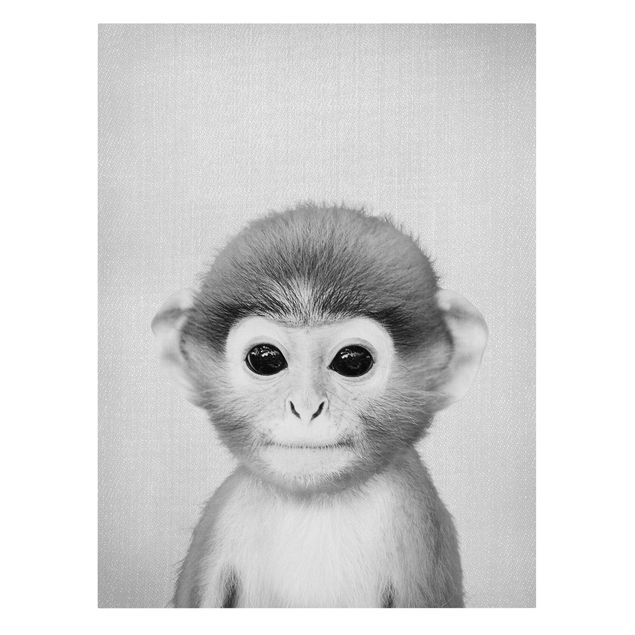 Animal canvas Baby Monkey Anton Black And White