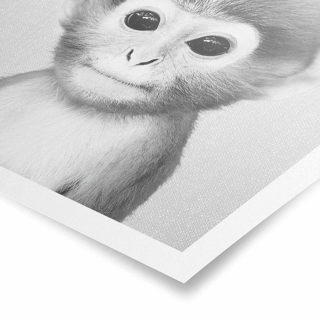 Prints modern Baby Monkey Anton Black And White