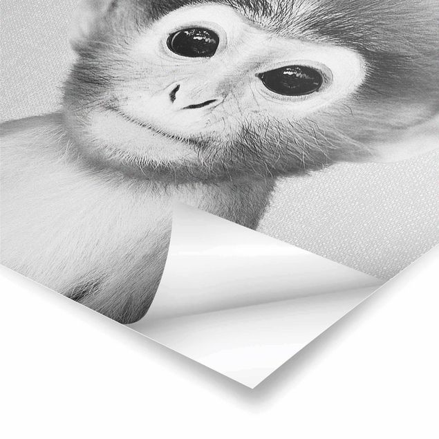 Gal Design prints Baby Monkey Anton Black And White