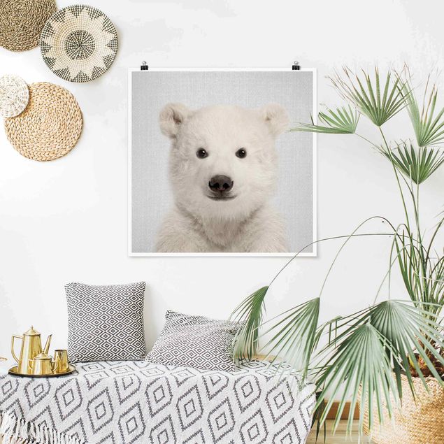 Prints animals Baby Polar Bear Emil
