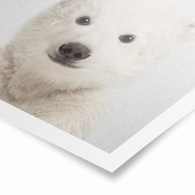 Modern art prints Baby Polar Bear Emil