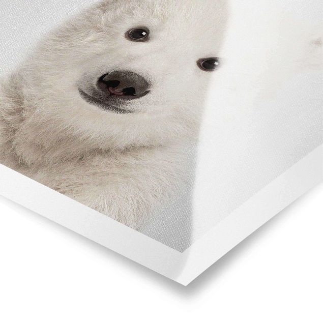 Prints black and white Baby Polar Bear Emil