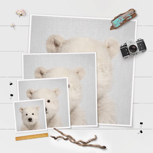 Prints Baby Polar Bear Emil