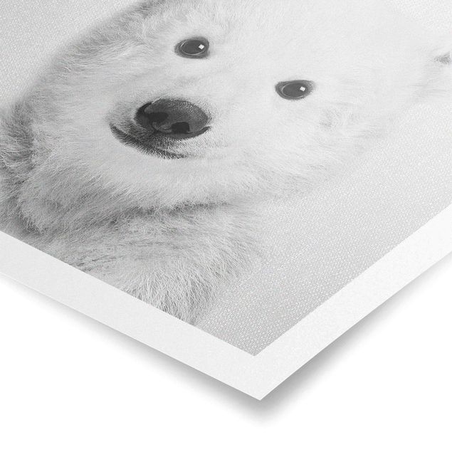 Contemporary art prints Baby Polar Bear Emil Black And White
