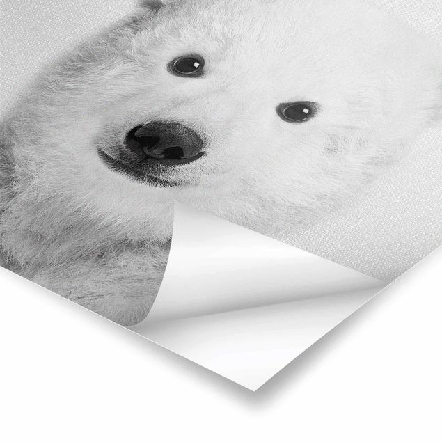 Gal Design art Baby Polar Bear Emil Black And White