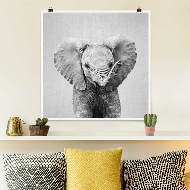 Prints elefant Baby Elephant Elsa Black And White