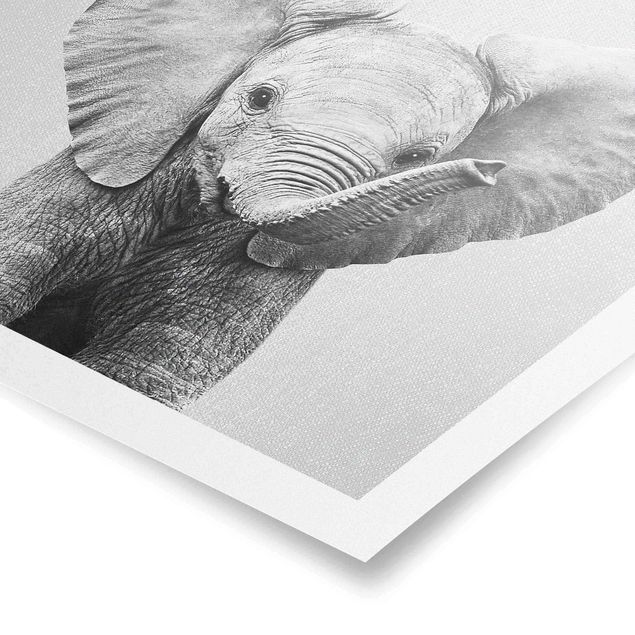 Modern art prints Baby Elephant Elsa Black And White