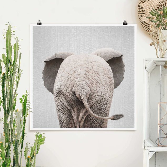 Prints elefant Baby Elephant From Behind