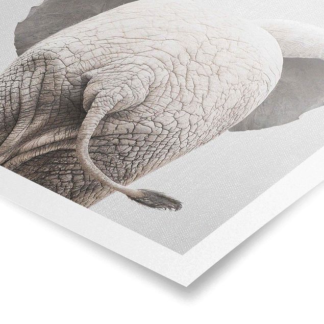 Modern art prints Baby Elephant From Behind
