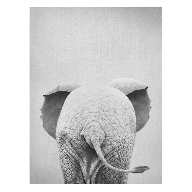 Prints animals Baby Elephant From Behind Black And White