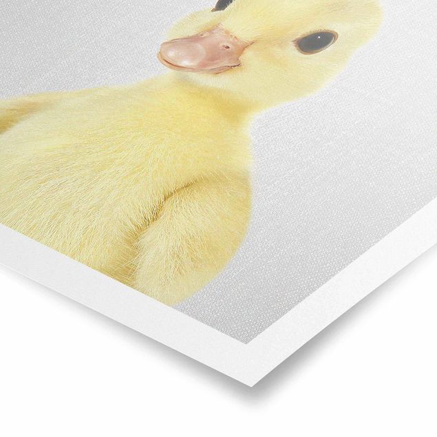 Prints black and white Baby Duck Emma