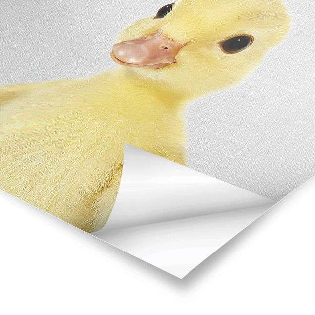 Prints Baby Duck Emma