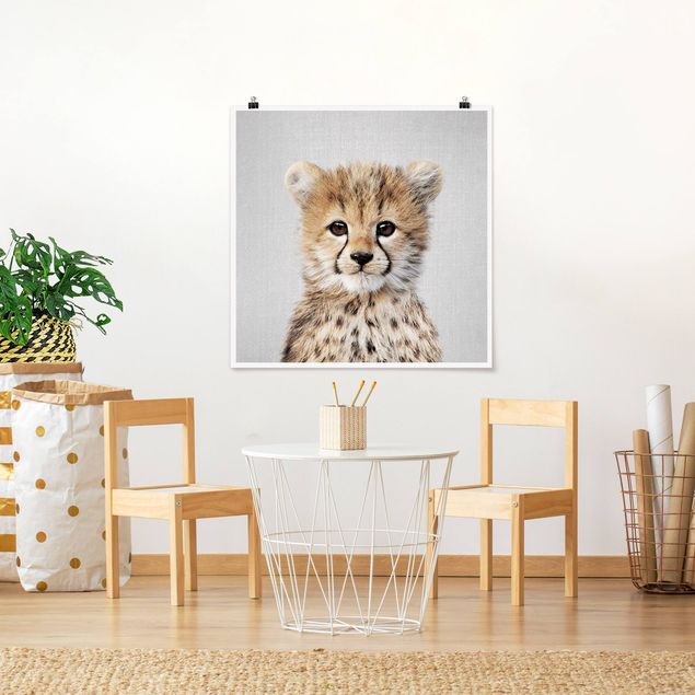 Poster black white Baby Cheetah Gino