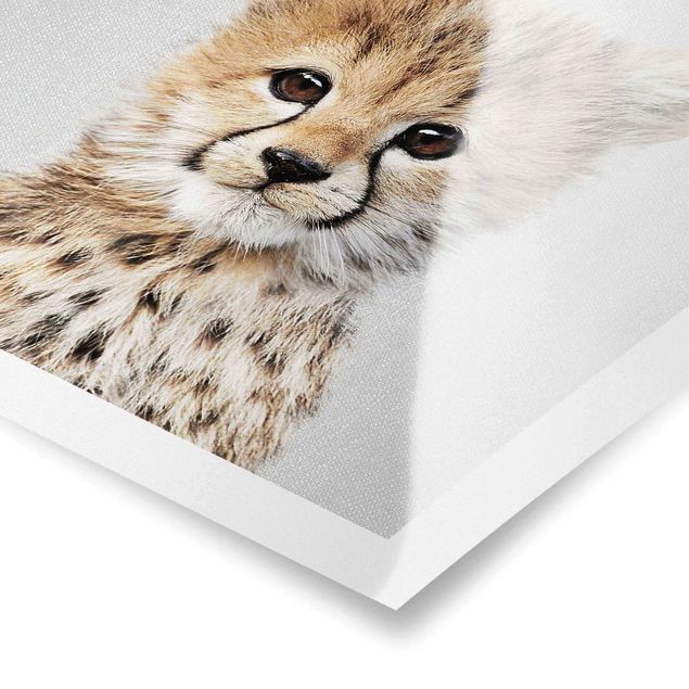 Gal Design prints Baby Cheetah Gino
