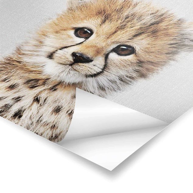 Prints Baby Cheetah Gino
