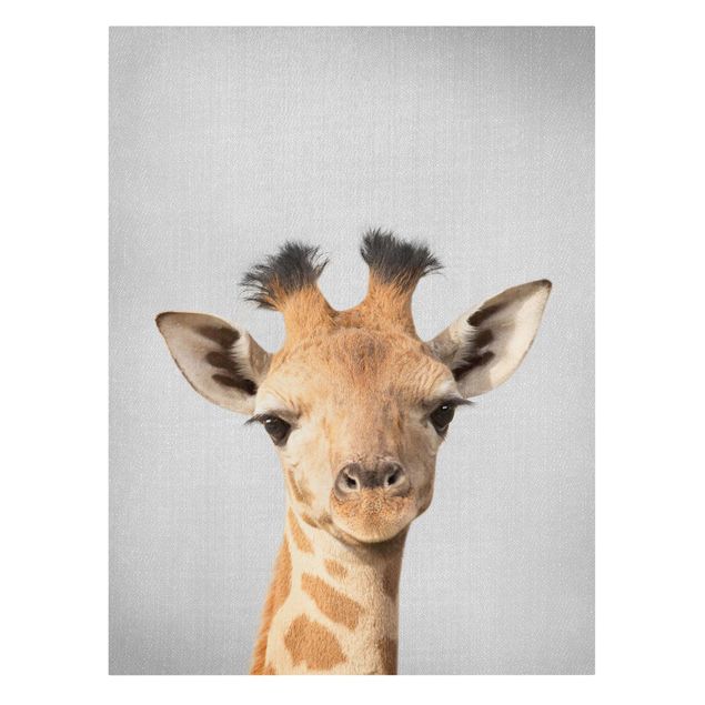 Prints animals Baby Giraffe Gandalf