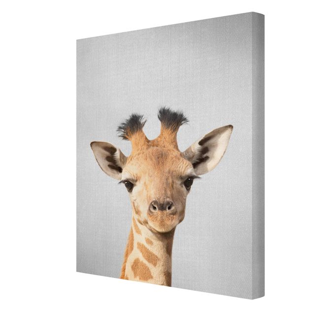 Modern art prints Baby Giraffe Gandalf