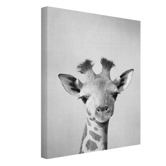 Black and white canvas art Baby Giraffe Gandalf Black And White